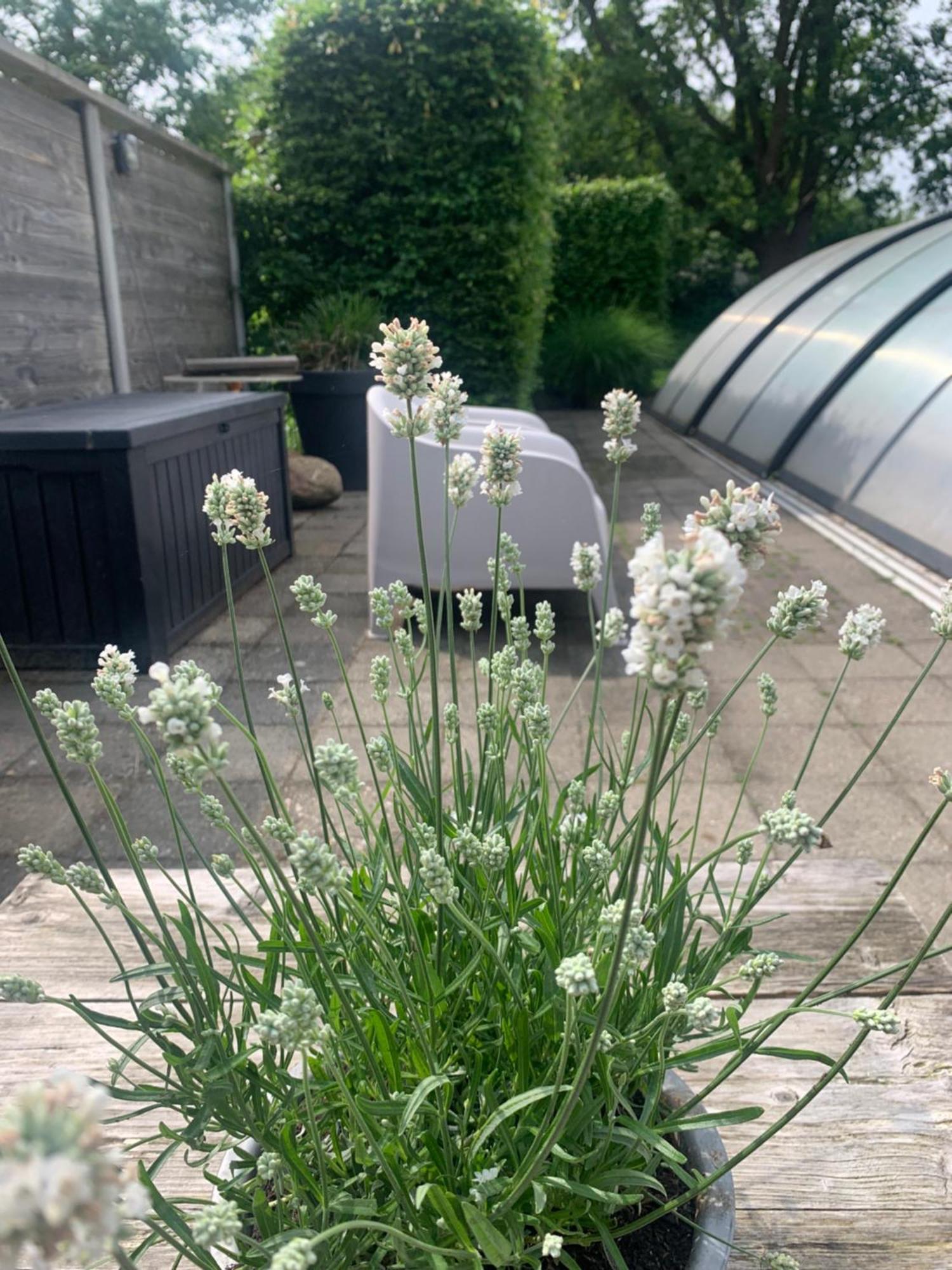 Bed And Breakfast Bedstay Op 8 Dalen Zewnętrze zdjęcie